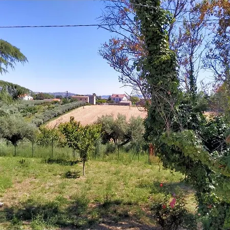 Accommodatie bij particulieren Cecilia Scerni