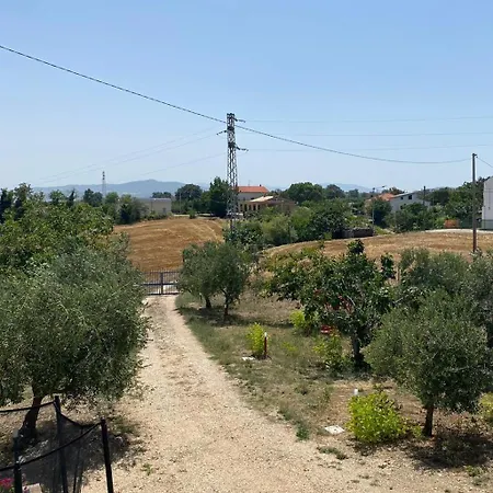 Cecilia Accommodatie bij particulieren *