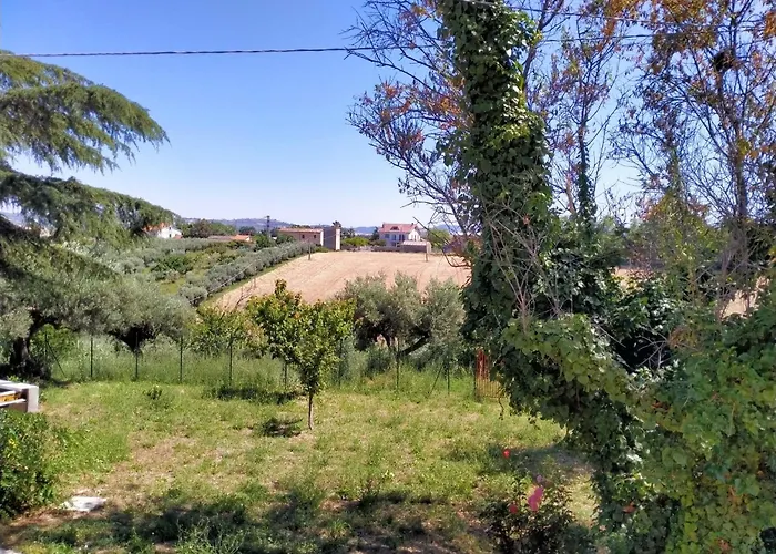 Alloggio in famiglia Cecilia Scerni